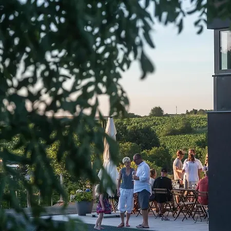 Boutique Vinarstvi Skrobak 4* Cejkovice (Hodonin)