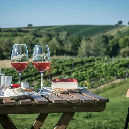 Boutique Vinarstvi Skrobak Cejkovice (Hodonin)