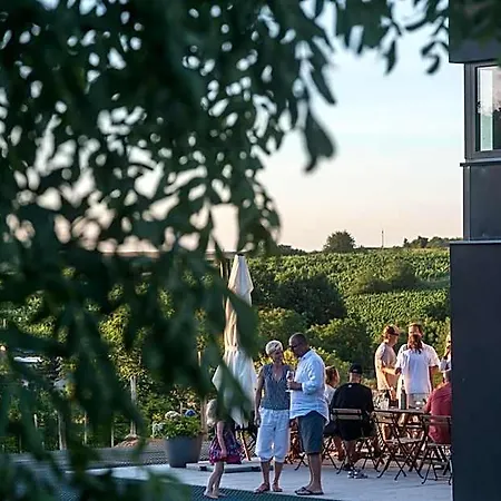 Boutique Vinarstvi Skrobak 4* 체이코비체