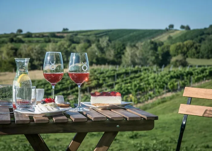 Boutique Vinarstvi Skrobak Cejkovice (Hodonin)